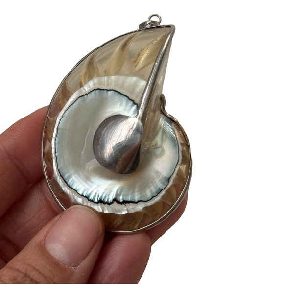 Transparent Nautilus Shell Pendant - Picture 5 of 5